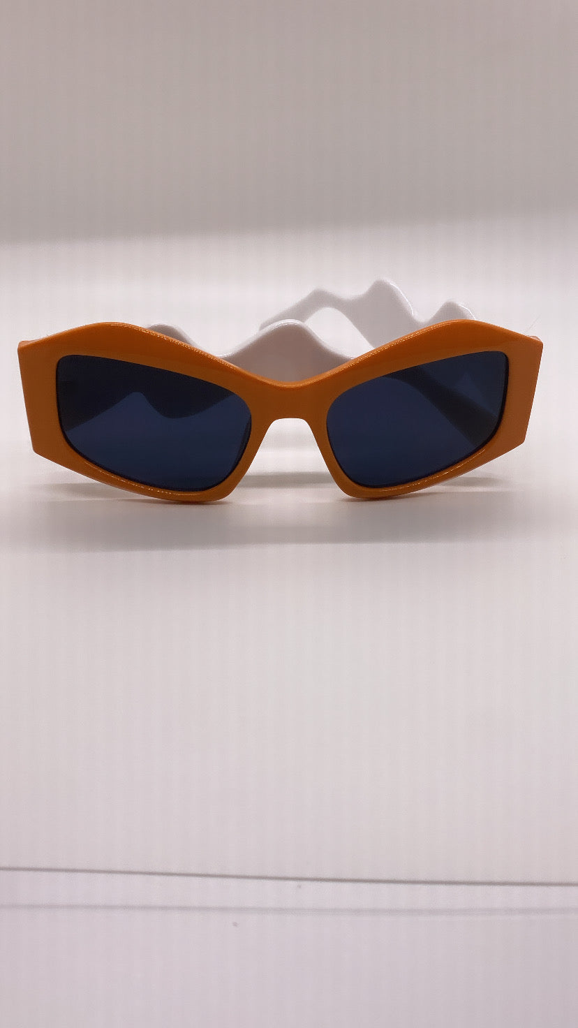 Envy Sunglasses