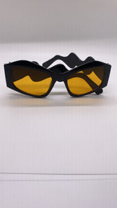 Envy Sunglasses