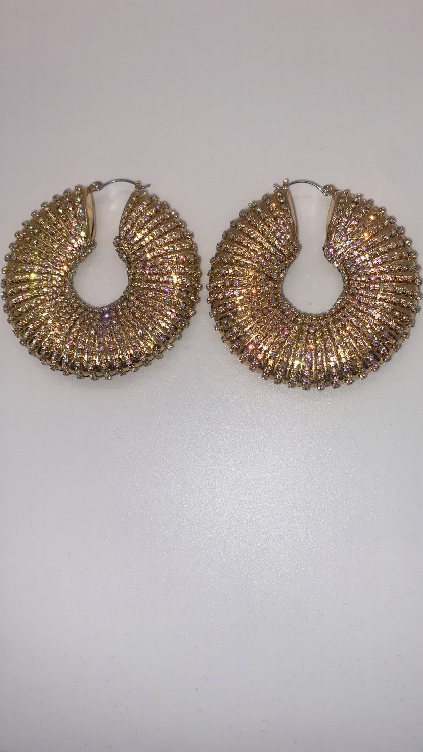 Can’t hide it earrings